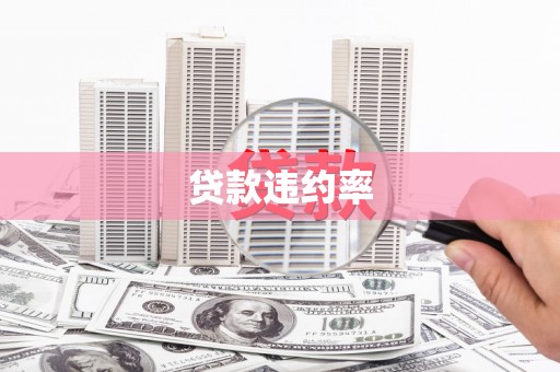 甘孜贷款违约率