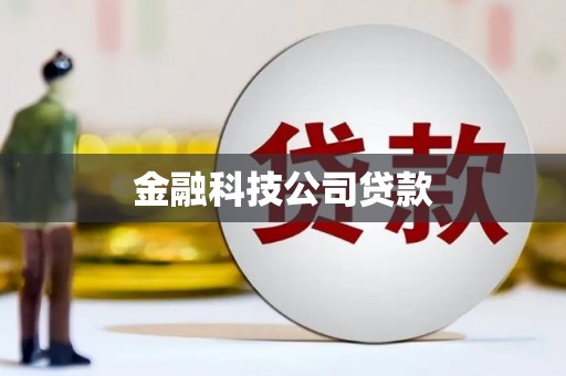 宁夏金融科技公司贷款