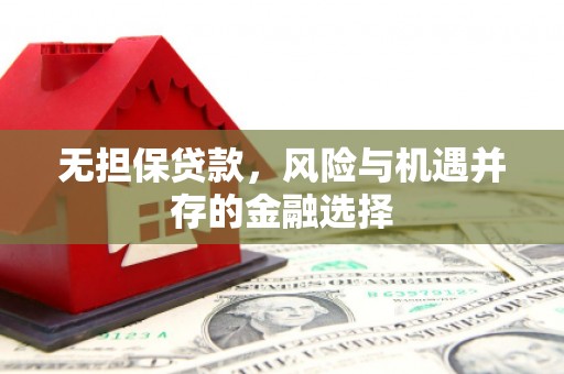 东台无担保贷款，风险与机遇并存的金融选择
