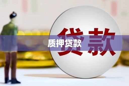 安陆质押贷款