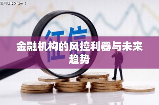 新民金融机构的风控利器与未来趋势