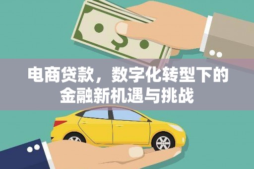大洼电商贷款，数字化转型下的金融新机遇与挑战