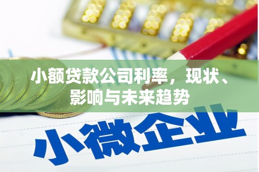 津南小额贷款公司利率，现状、影响与未来趋势