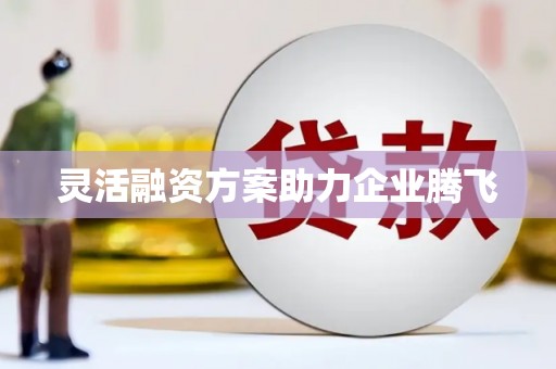 新店灵活融资方案助力企业腾飞