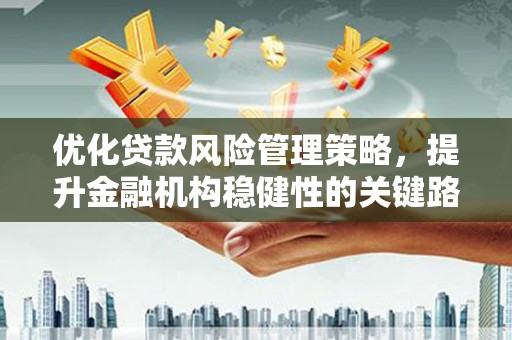 中卫优化贷款风险管理策略，提升金融机构稳健性的关键路径