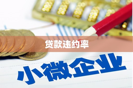 炉霍贷款违约率