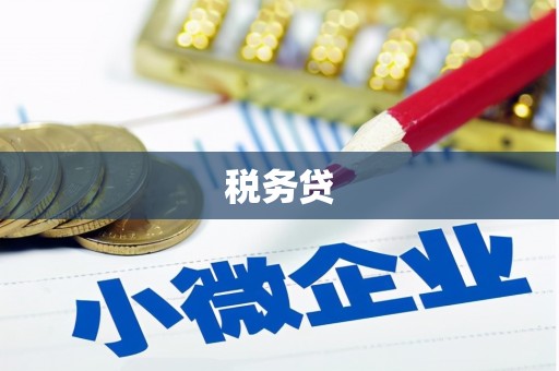 大武税务贷