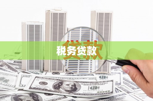 卓尼税务贷款