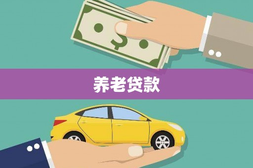 龙子湖养老贷款