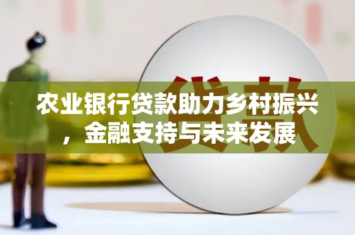 六横农业银行贷款助力乡村振兴，金融支持与未来发展