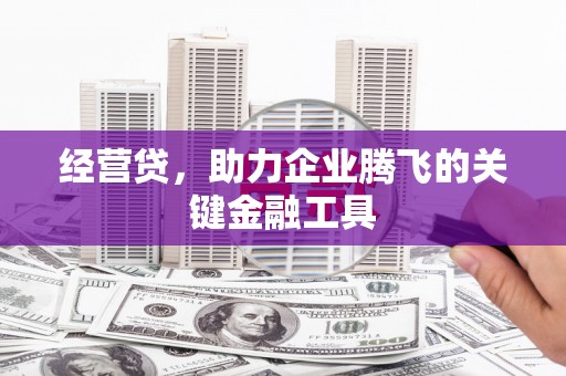 佛坪经营贷，助力企业腾飞的关键金融工具