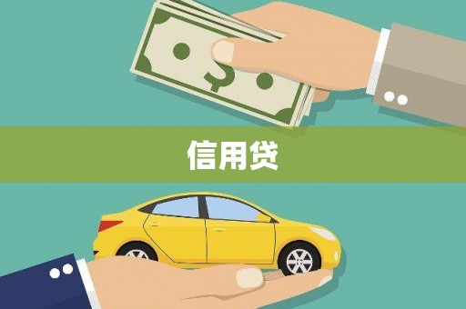 龙游信用贷