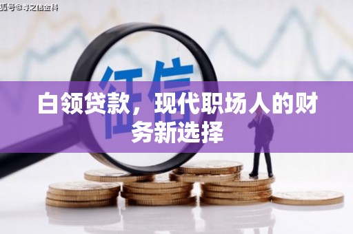泸溪白领贷款，现代职场人的财务新选择