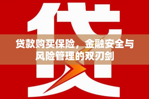 西林贷款购买保险，金融安全与风险管理的双刃剑