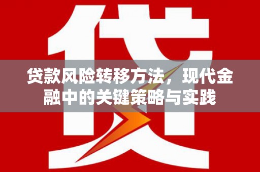 沈丘贷款风险转移方法，现代金融中的关键策略与实践