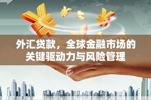 浮梁外汇贷款，全球金融市场的关键驱动力与风险管理