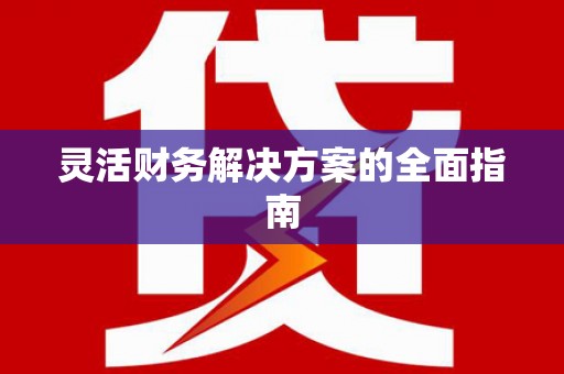 西屿灵活财务解决方案的全面指南