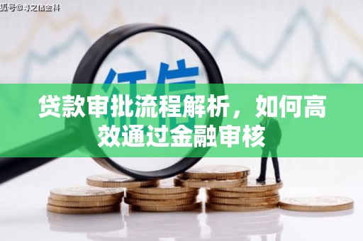 七星贷款审批流程解析，如何高效通过金融审核