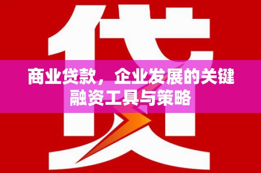 邓州商业贷款，企业发展的关键融资工具与策略