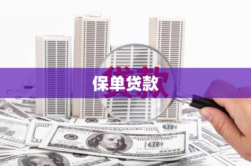 内埔保单贷款