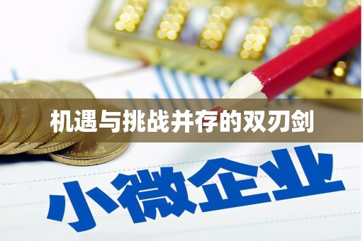 麦寮机遇与挑战并存的双刃剑
