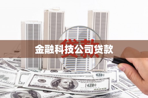 二水金融科技公司贷款