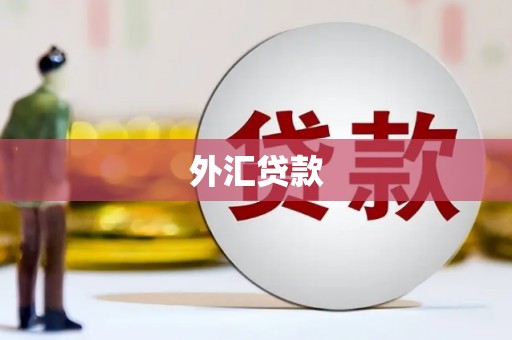 平安外汇贷款