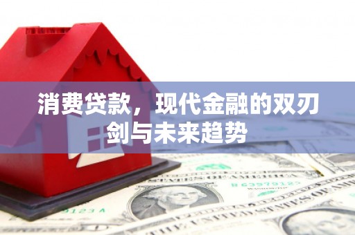 隆回消费贷款，现代金融的双刃剑与未来趋势