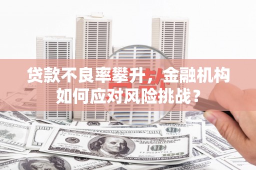 新晃贷款不良率攀升，金融机构如何应对风险挑战？