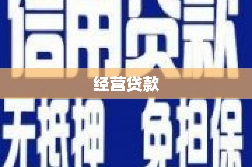 勉县经营贷款
