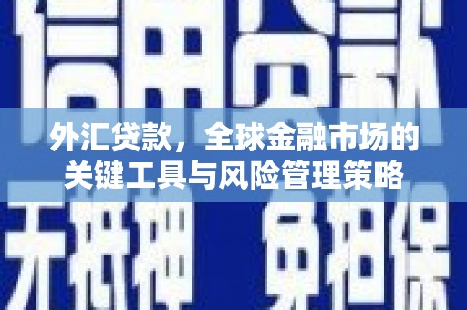 应县外汇贷款，全球金融市场的关键工具与风险管理策略