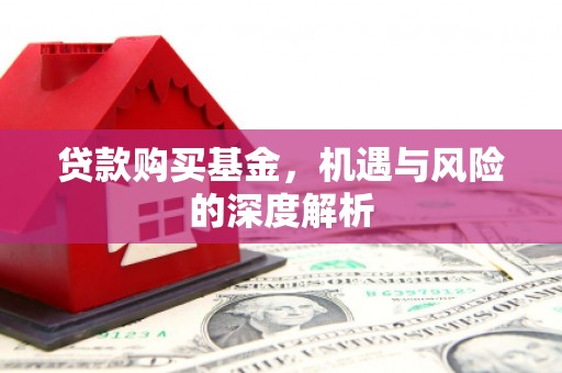 原州贷款购买基金，机遇与风险的深度解析