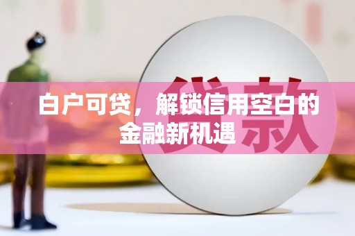 太白白户可贷，解锁信用空白的金融新机遇