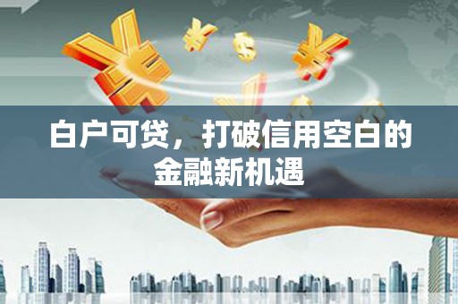 汶上白户可贷，打破信用空白的金融新机遇