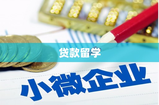 金口河贷款留学