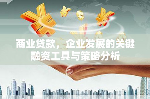 安龙商业贷款，企业发展的关键融资工具与策略分析