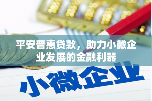 沙依巴克平安普惠贷款，助力小微企业发展的金融利器