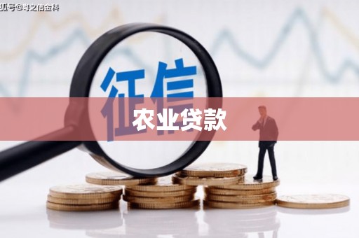 望城农业贷款