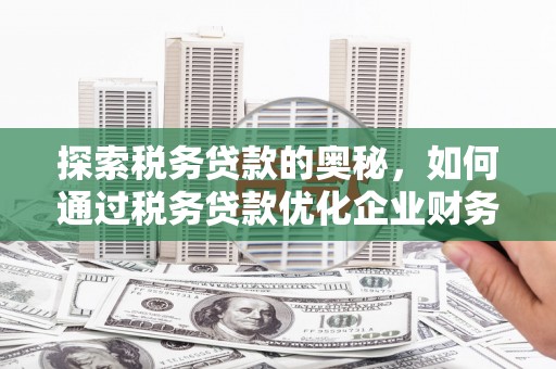 汤原探索税务贷款的奥秘，如何通过税务贷款优化企业财务