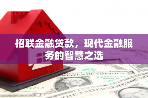 岳阳楼招联金融贷款，现代金融服务的智慧之选