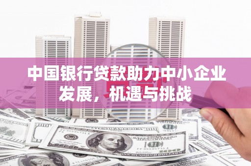 松江中国银行贷款助力中小企业发展，机遇与挑战