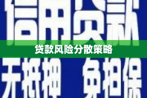 建宁贷款风险分散策略