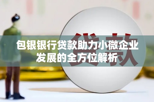 国姓包银银行贷款助力小微企业发展的全方位解析