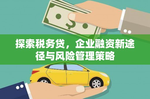 民和探索税务贷，企业融资新途径与风险管理策略