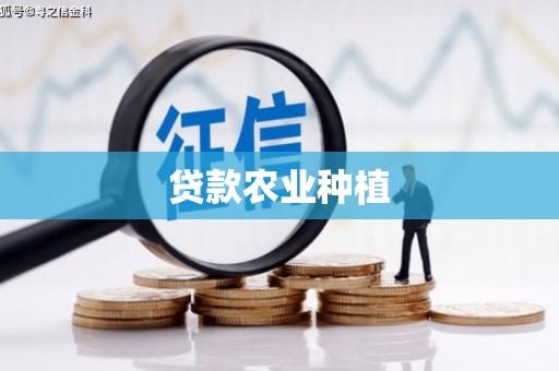 镜铁贷款农业种植