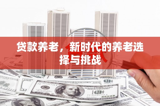 文登贷款养老，新时代的养老选择与挑战