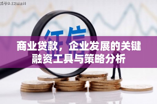 水林商业贷款，企业发展的关键融资工具与策略分析