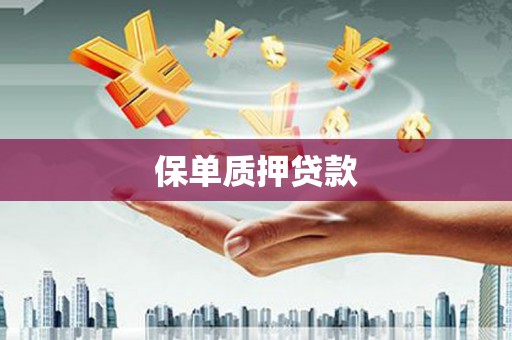 浑源保单质押贷款