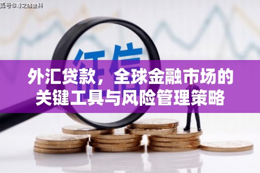 弓长岭外汇贷款，全球金融市场的关键工具与风险管理策略