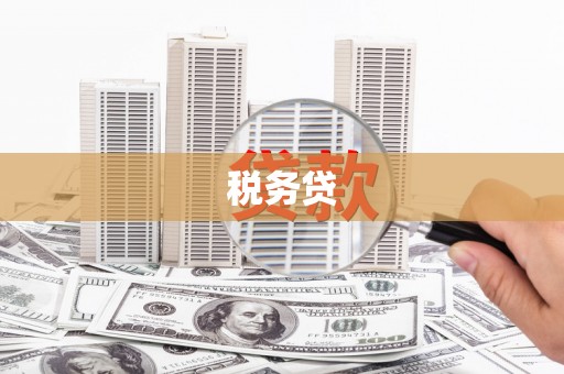 铜陵税务贷